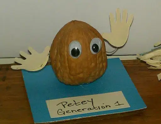PETEY