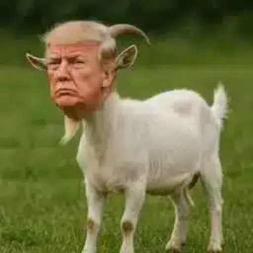 BAA